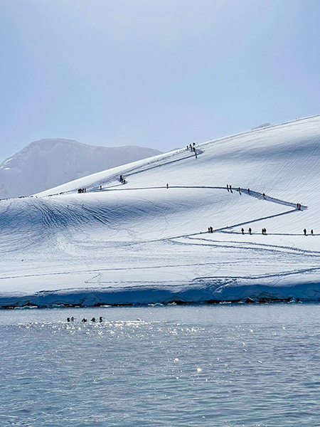  Antarctica